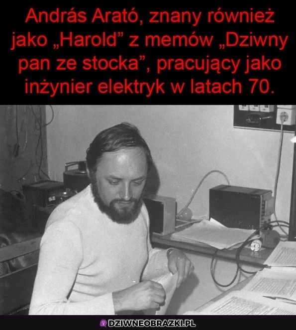 Legenda memów