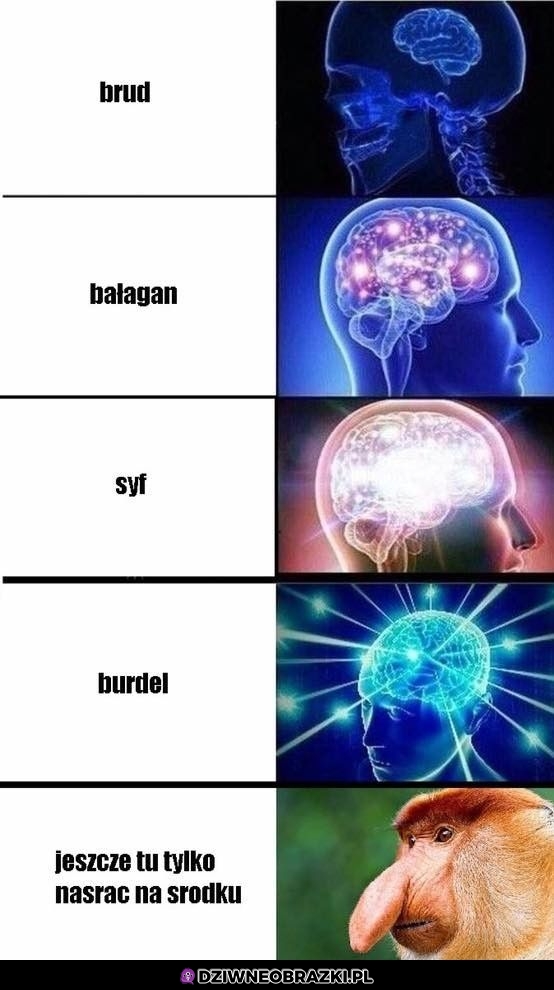 Brud