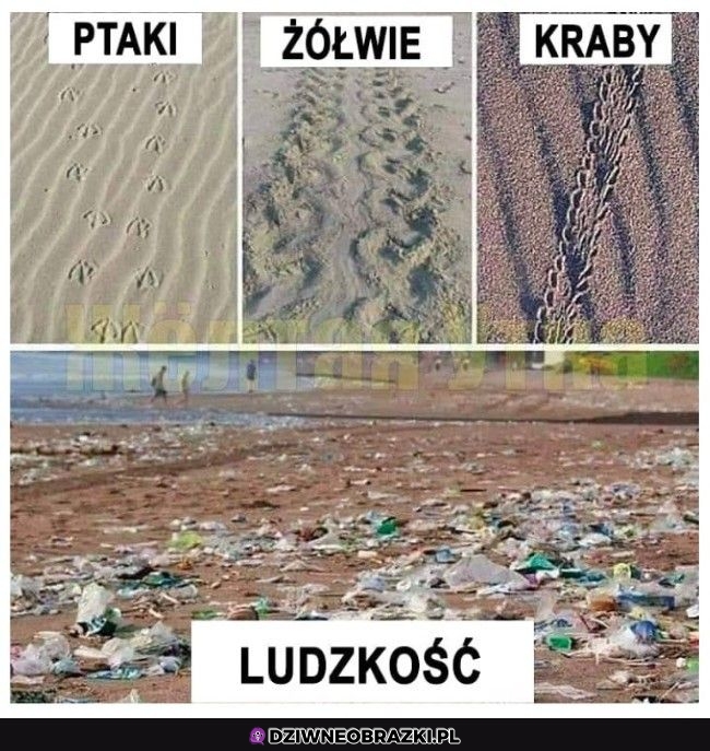Zostawiamy najgorsze ślady
