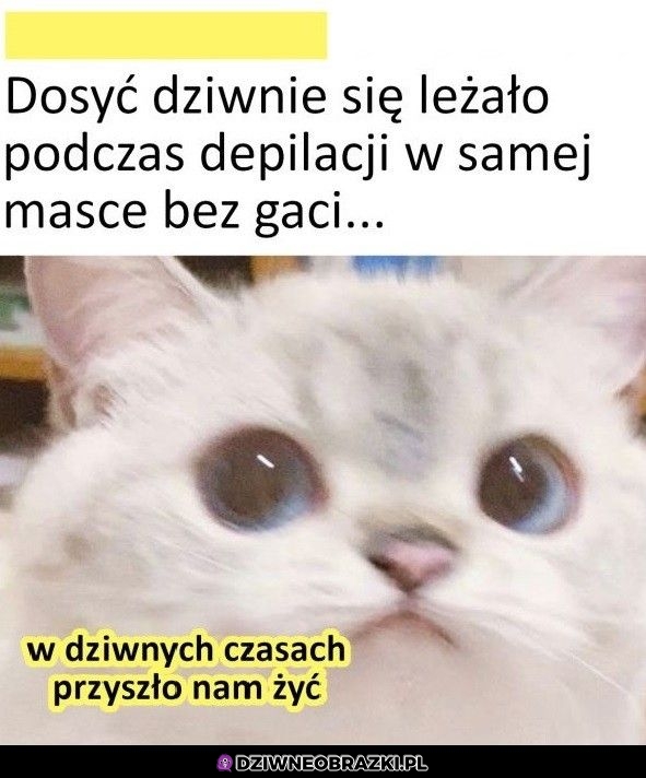 Dziwne czasy