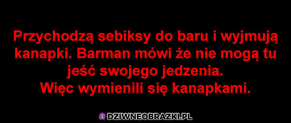 Sebiksy