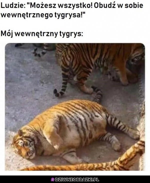 Mój tygrysek wewnętrzny