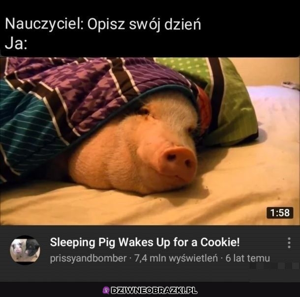 Dzień idealny