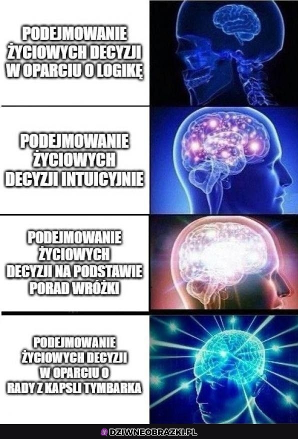 Najlepsze źródło wiedzy do podejmowania decyzji