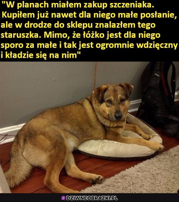 Zmiana planów