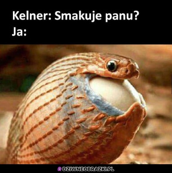 Gulp