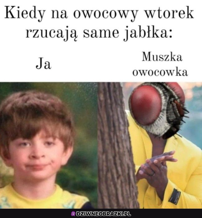 Owocowy wtorek