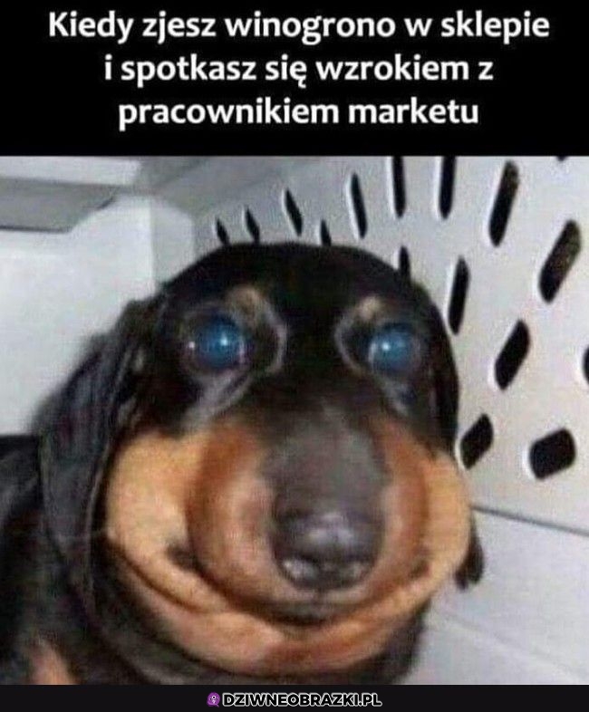 Ten moment 