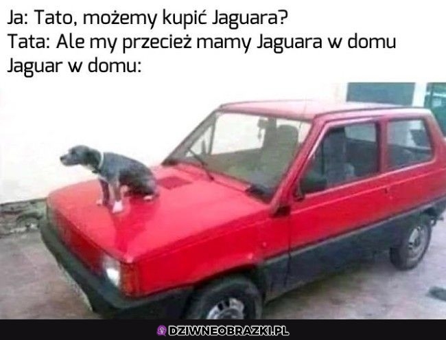 Jaguar