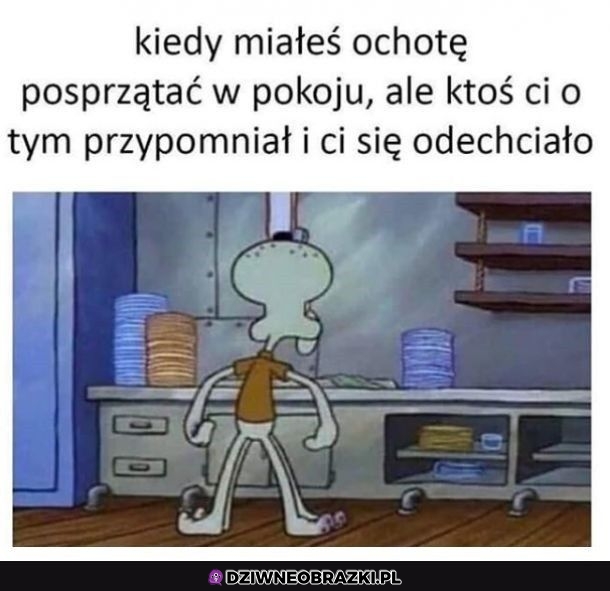A niech to
