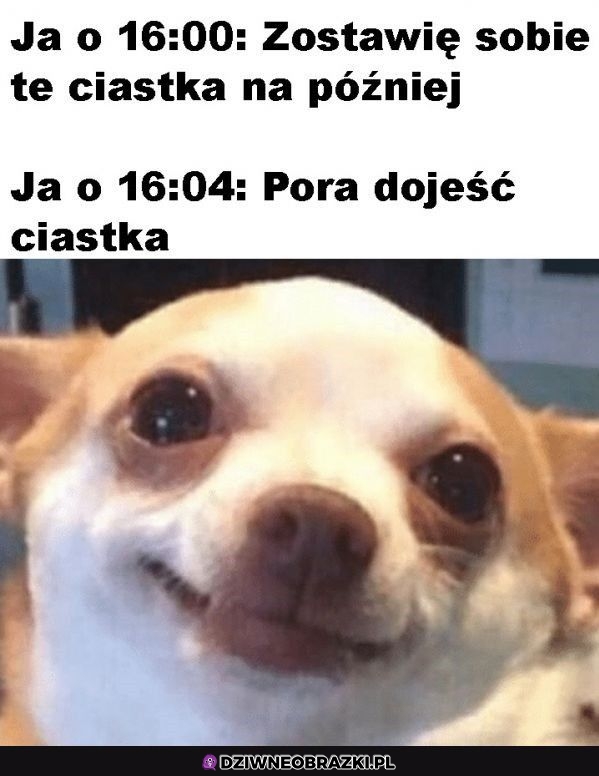 Ciastka na później