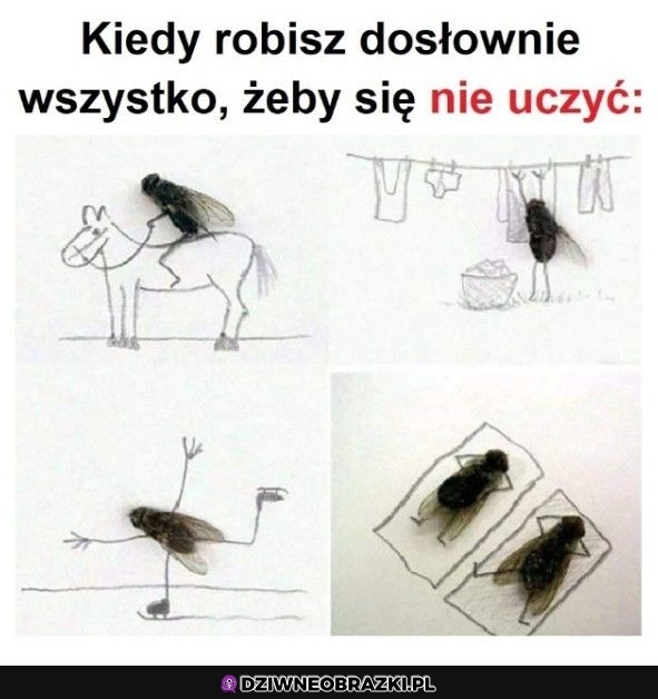 Kreatywnie