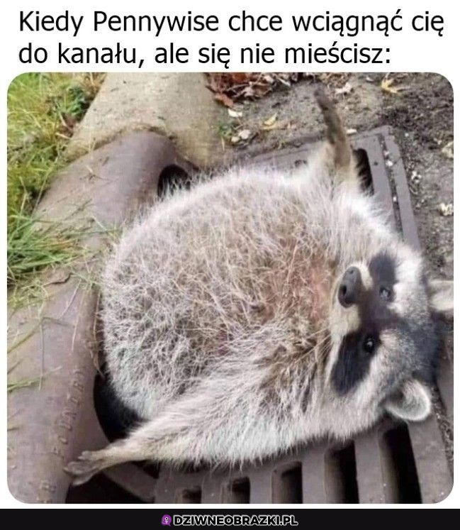 Niezła próba