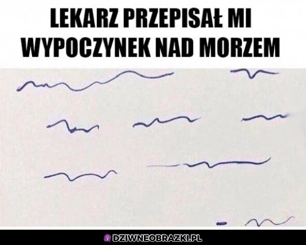 Chyba