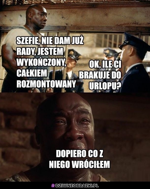 Urlop