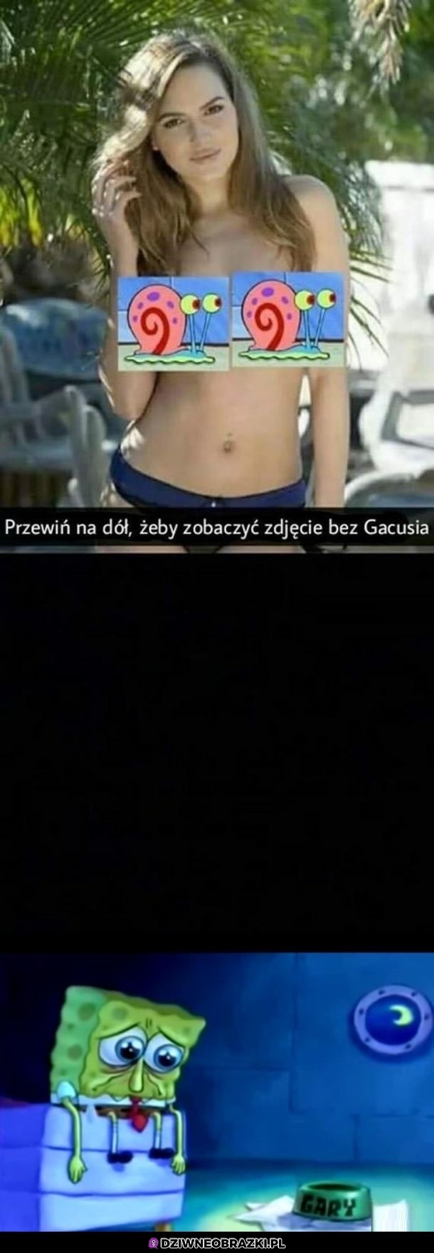 Bez Gacusia