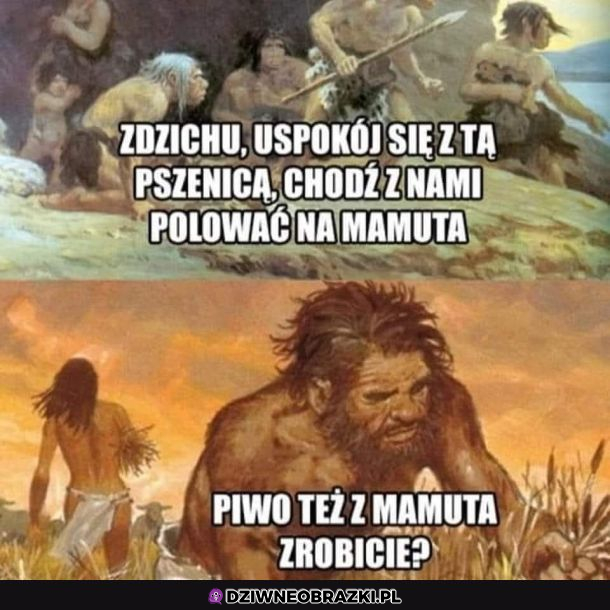 Są rzeczy ważne i ważniejsze, idziemy po browara 