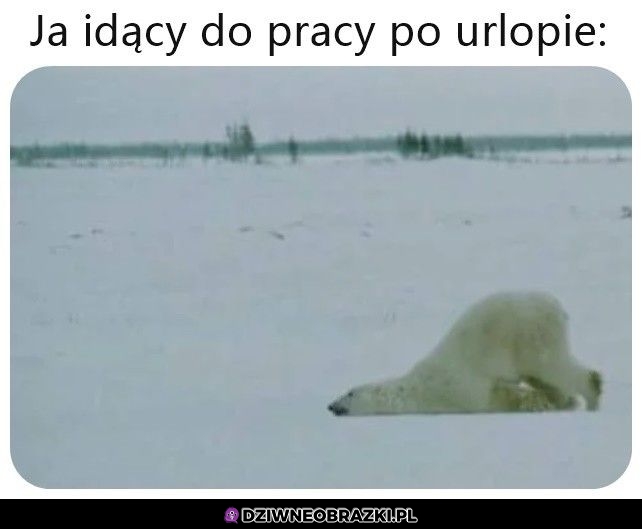 Właśnie tak idę