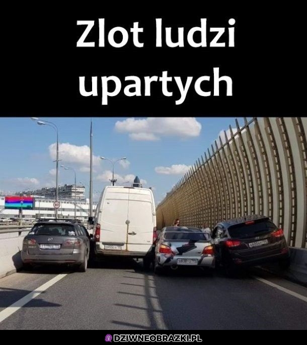 Zlot upartych