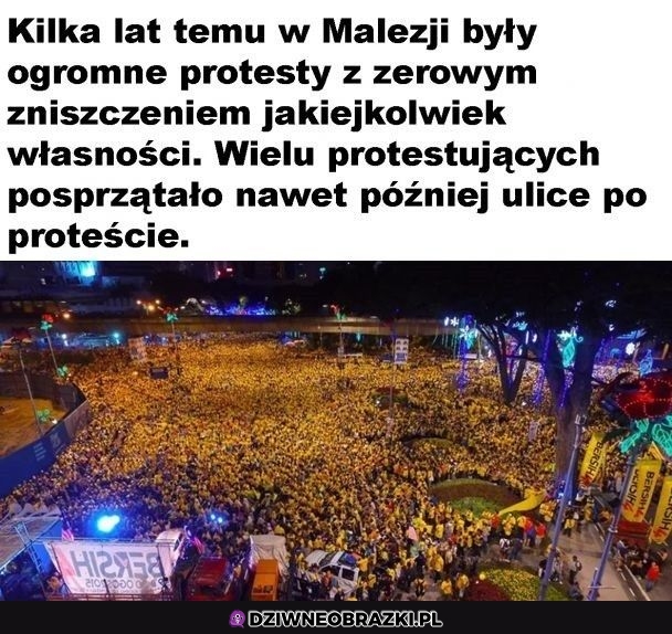 Tak należy protestować