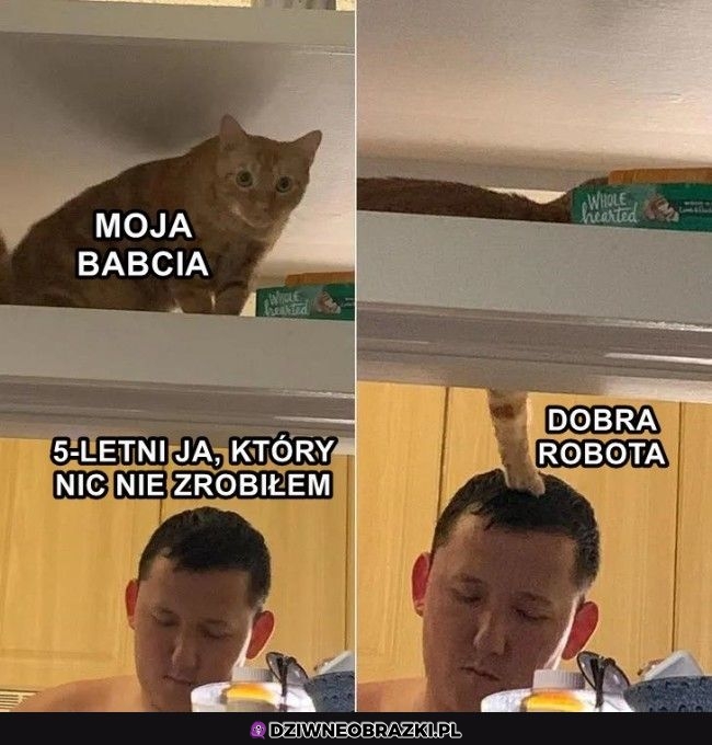 Babcie są najlepsze