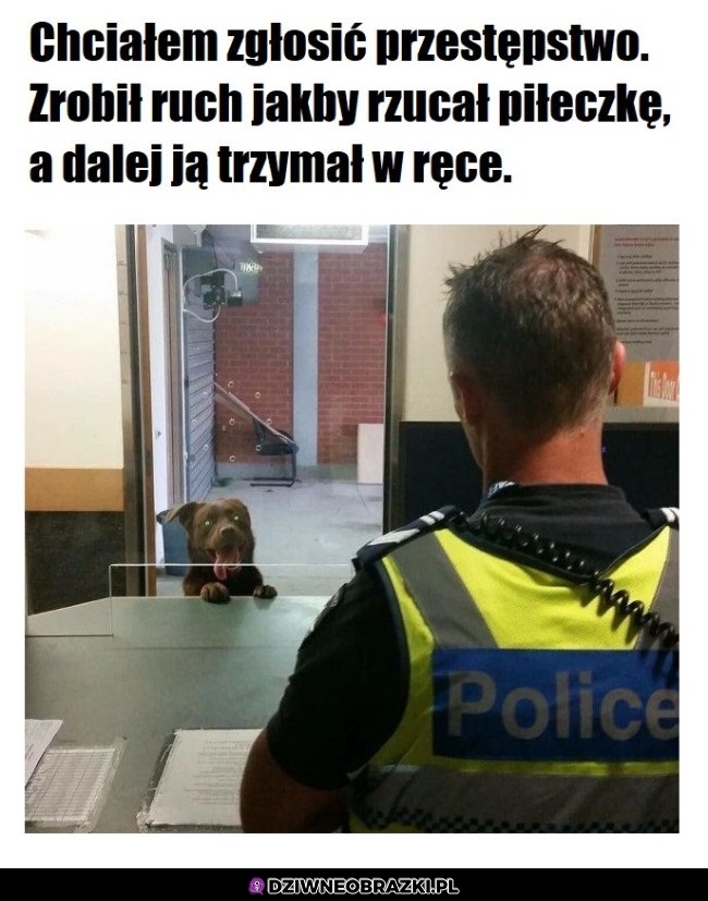 Już go gonimy!