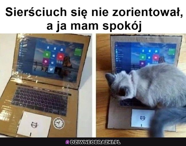 Sposób na kitku