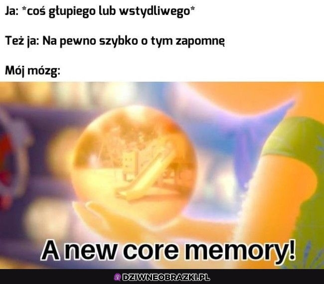 Dzięki mózgu