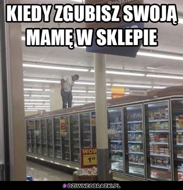 Poszukiwania