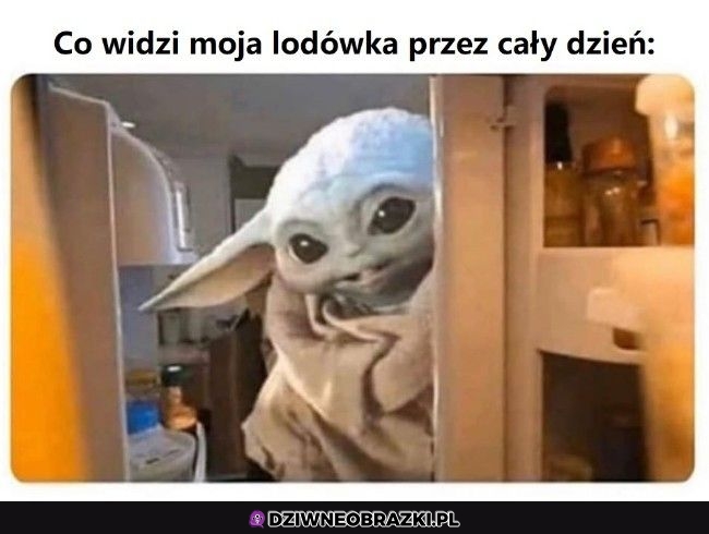 Codzienne wycieczki