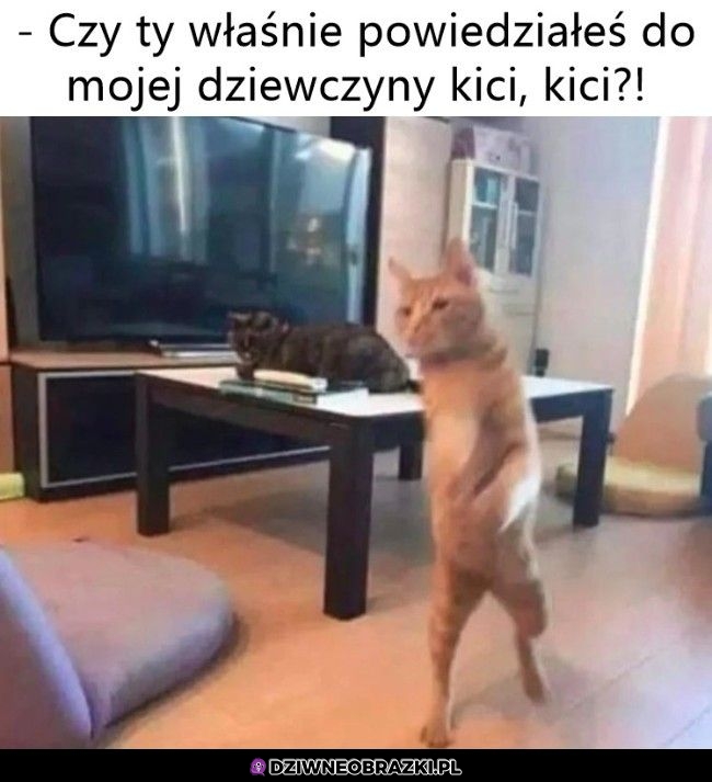 Coś ty powiedział?