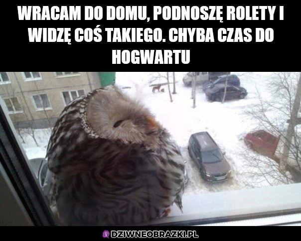 Nareszcie dotarła!