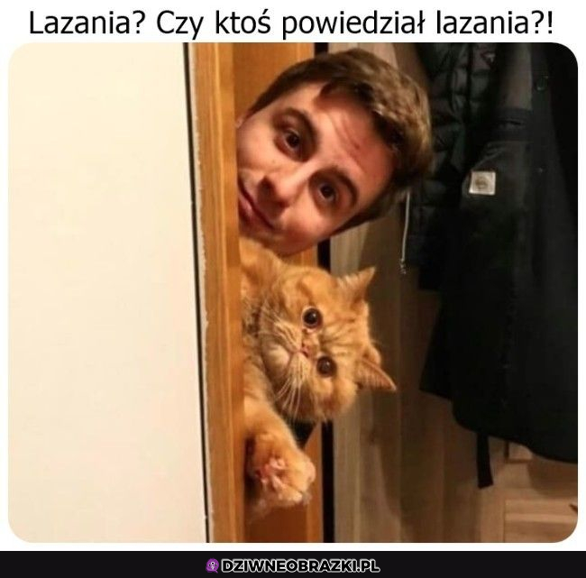 Lazania?