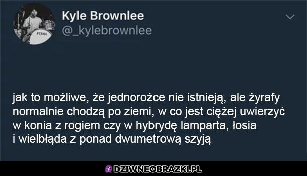 Jak to możliwe?