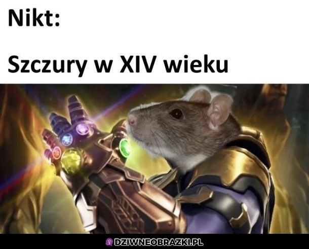 Tak było