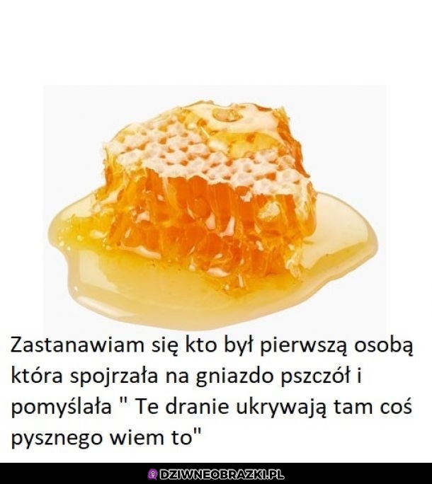 Ciekawe
