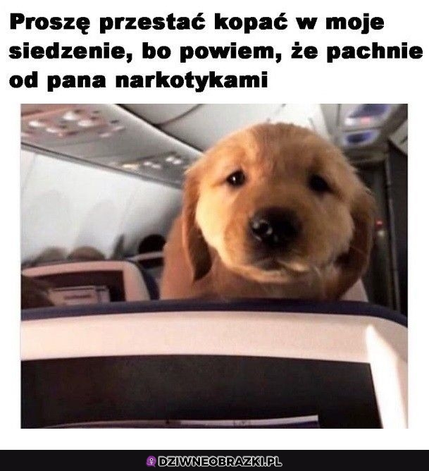 Przestań kopać w fotel