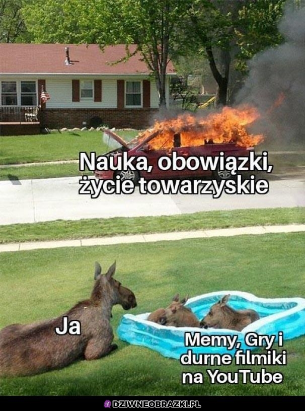 Zawsze