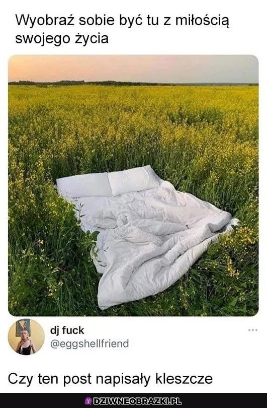 W sumie to nie chcę