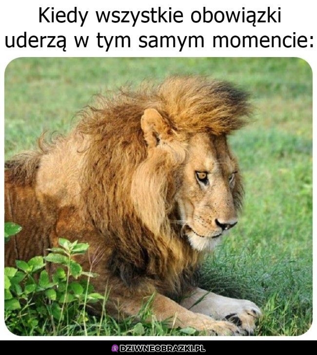Najgorzej