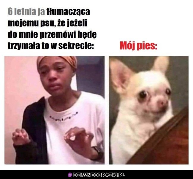 Ten moment