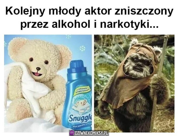 Alkohol go zniszczył