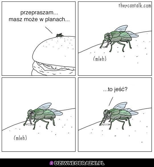 To będziesz to jadł?