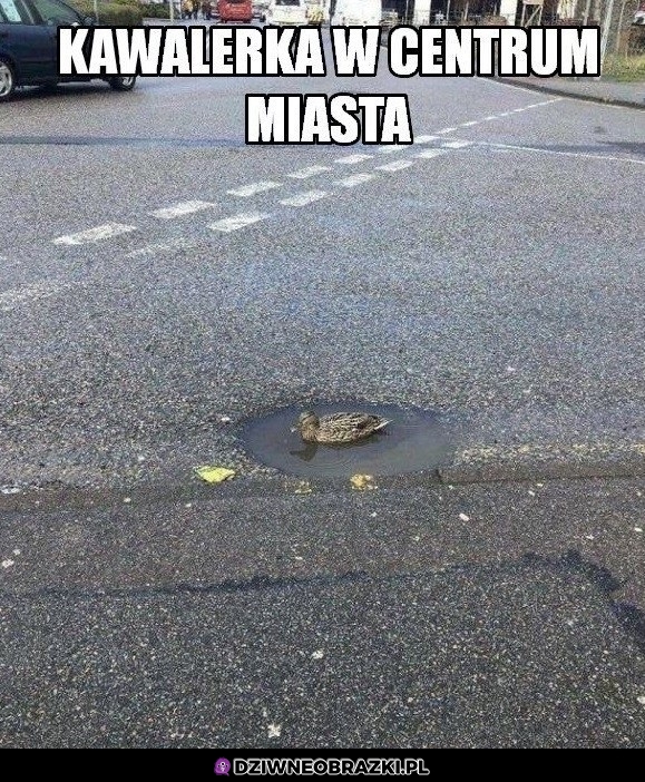 Kawalerka w centrum