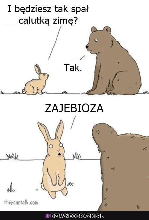 zajebioza!