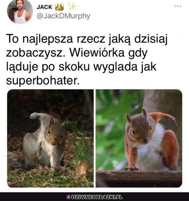 Faktycznie niezłe