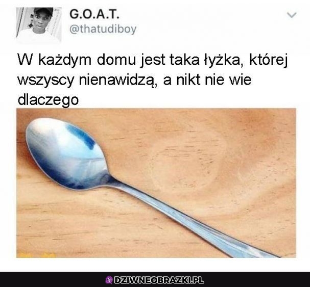 Ta jedna łyżka