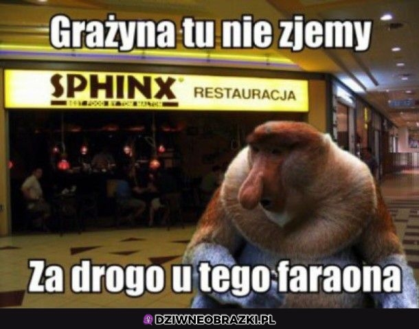 U faraona