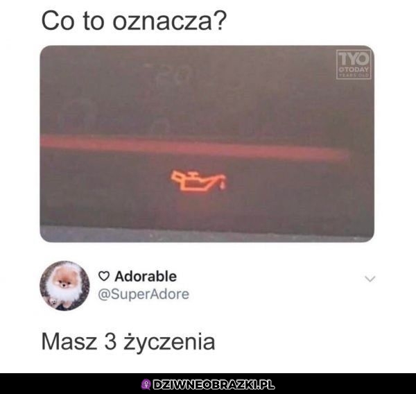 Co to oznacza?