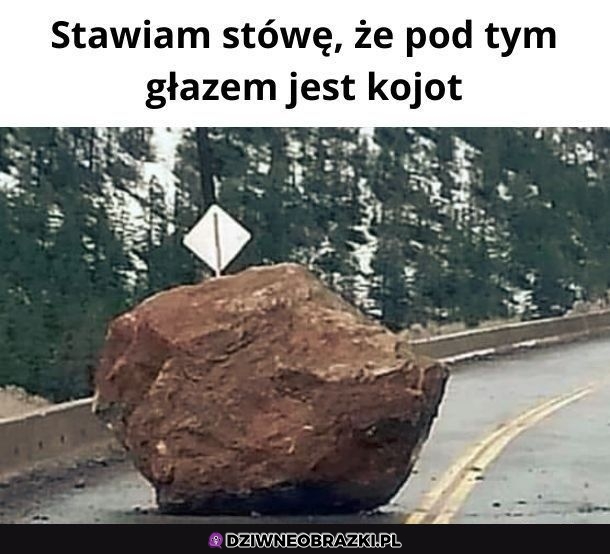 Na pewno tak